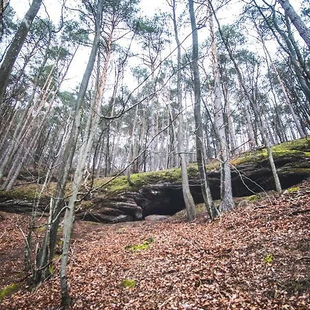 Bleu Minuit L'arche ロッジ Obersteinbach